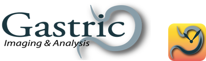 Gastric Imaging & Analysis (Symtrack)